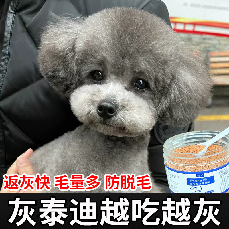 灰泰迪返灰专用维生素泰迪褪色反灰营养品狗狗爆毛美毛宠物卵磷脂,宠物/宠物食品及用品,狗营养膏,淘宝优惠券,粉丝福利购,淘宝优惠卷