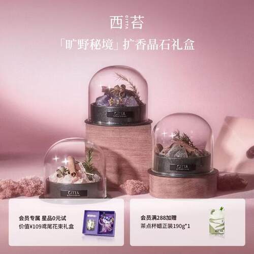 西苔旷野秘境香薰礼盒高级感无火