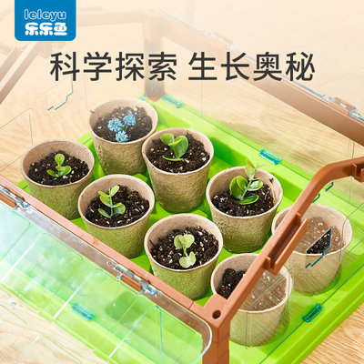 儿童阳光房种植花房种菜观察玩具女孩科学小实验六一儿童节礼物