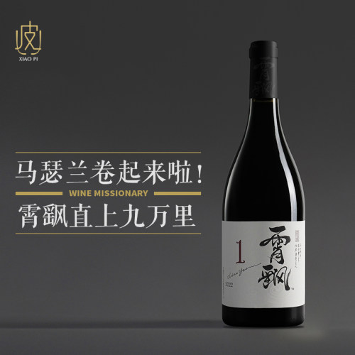 【这两个字念xiāoyáo】霄飖