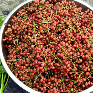 山花椒种子 大红袍花椒种子山椒红椒麻椒川花椒树 刺篱笆蔬菜调料