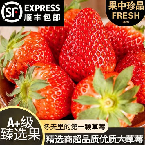 现摘红颜奶油99牛奶草莓礼盒孕妇整箱大草莓应季当季整箱顺丰包邮
