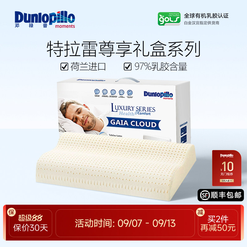 邓禄普特拉雷荷兰波浪枕图片