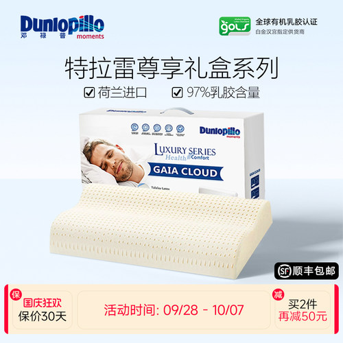 邓禄普特拉雷荷兰波浪枕