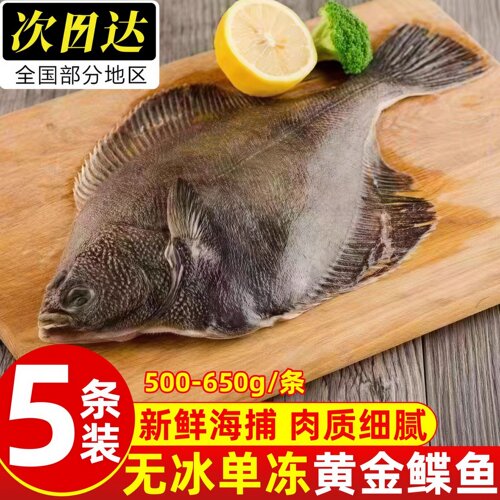 青岛深海船冻黄金鲽鱼整条