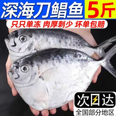 深海刀鲳鱼5斤装单冻刺少新鲜