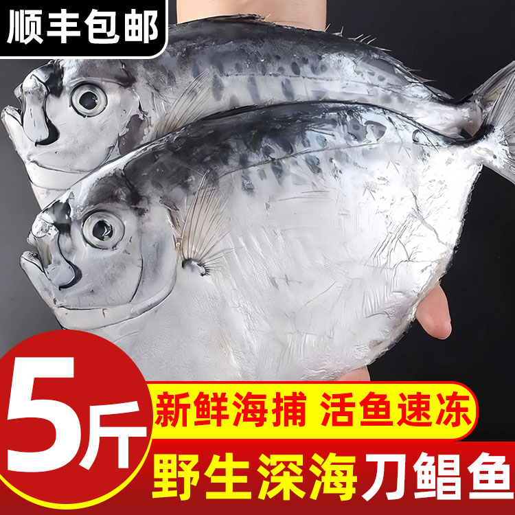 深海刀鲳鱼新鲜冷冻鲳鱼海捕商用