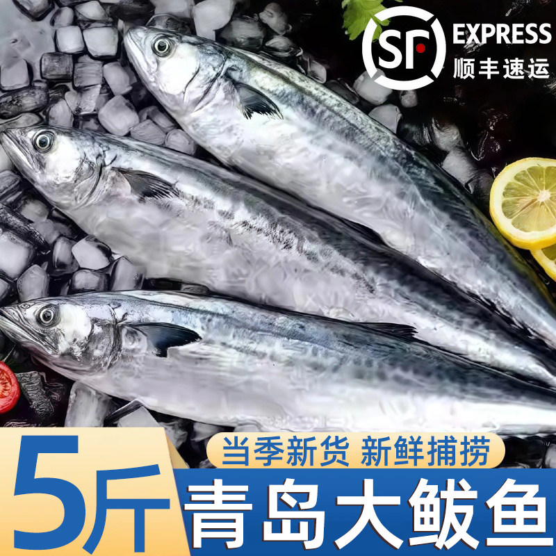 大鲅鱼新鲜活燕鲅鱼马鲛鱼大整条冷冻青花鱼马友鱼海鲜马交鱼批发