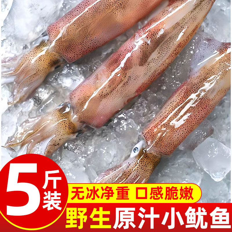 山东青岛冷冻鱿鱼批发