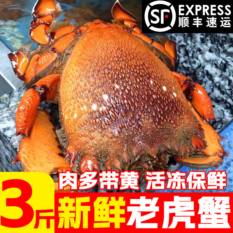 老虎蟹鲜活冷冻虎头蟹带黄新鲜冷冻贵妃蟹海鲜冷冻水产顺丰包邮