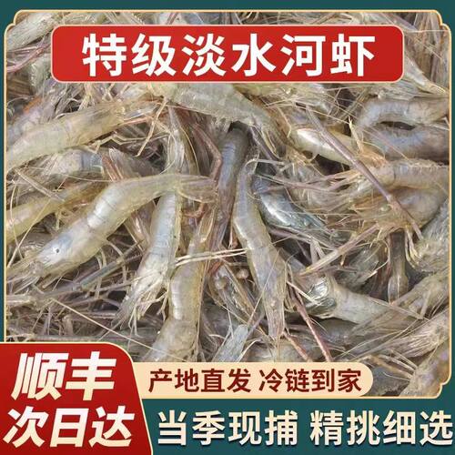 5斤冷冻淡水小河虾商用批发