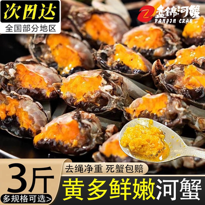 盘锦鲜活大闸蟹六月黄3斤装