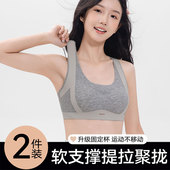 少女内衣二三阶段发育期初高中学生软支撑提拉聚拢防下垂运动美背