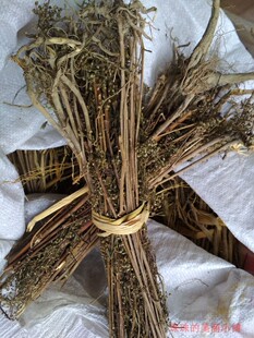 包邮福建野生牡蒿  齐头蒿  油蒿 脚板蒿 青蒿 香青蒿 油艾500g