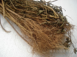 今年新货农家自采野生三叶鬼针草 正宗晒干鬼针草茶切段 500克