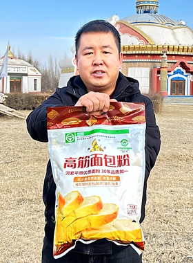 内蒙古鑫乐高筋面包粉吐司面包蛋糕烘焙A级绿色食品塞鑫新粮新货