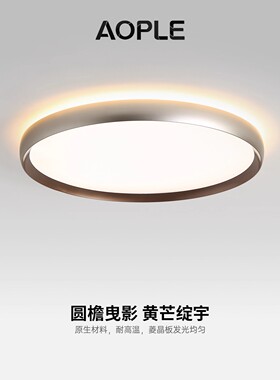 银灰色全光谱护眼意式极简卧室吸顶灯简约现代餐厅房间灯中山灯具