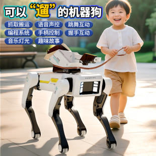 生日礼物男生智能机器狗2025新款 男孩 儿童奖励小玩具男孩子男童