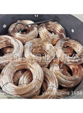 供应CUSn6铜丝 磷铜丝多种规格现货