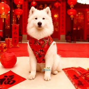 萨摩耶专用衣服冬装2025新款中型犬加厚新年服装冬狗狗东北大花袄