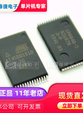 AT45DB161D-TU AT45DB161D TSSOP28 存储器 全新原装现货 睿捷