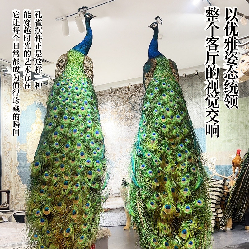自然豪华金色唯美孔雀标本工艺品摆件酒店开业会所公司客厅装饰