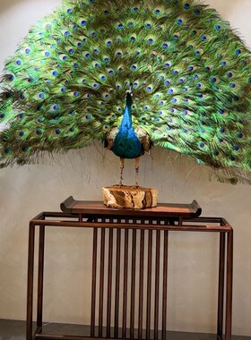 客厅羽毛开屏孔雀摆件孔雀标本