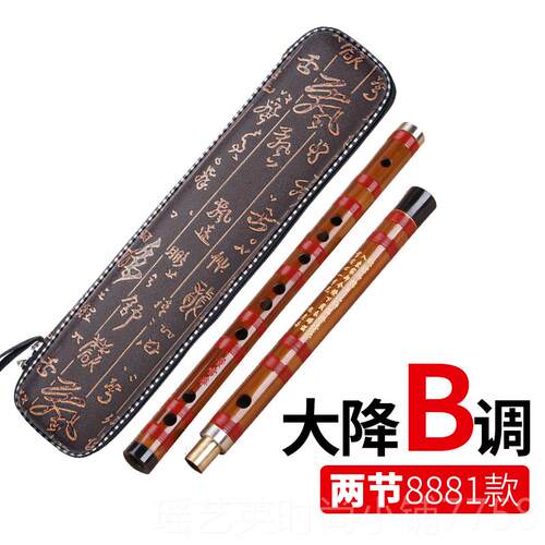 新款灵声笛乐器董练雪华子8881笛子竹笛横笛初学笛子 习笛CDE FG
