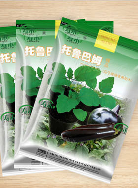 日本茄子砧木托鲁巴姆种