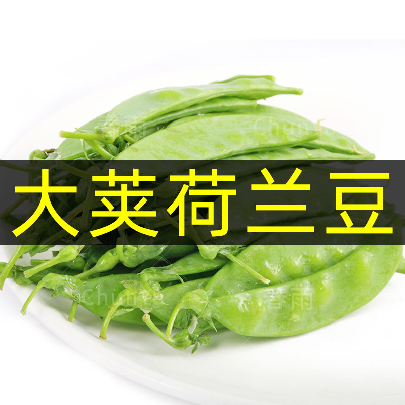 农家甜脆豌豆四季种籽