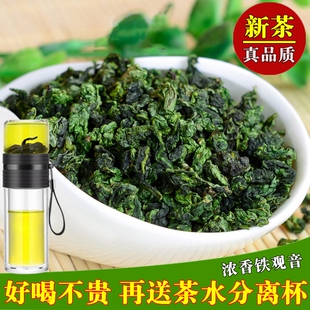 送茶水分离杯 2026新春茶福建铁观音浓香型1725 乌龙茶叶散装500g