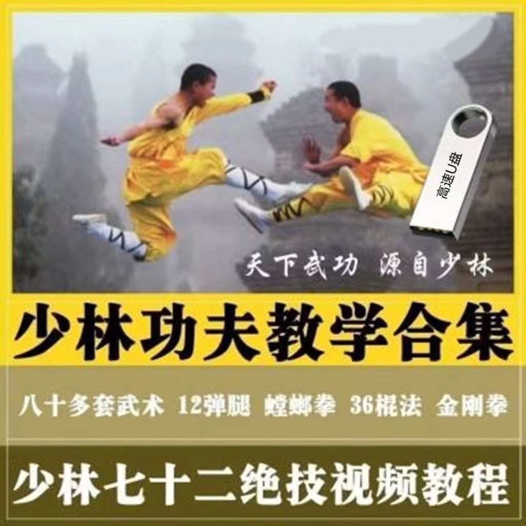 少林功夫教程武术视频教学自学全套散打擒拿格斗防身绝技优盘通用