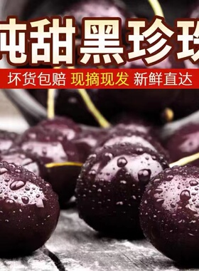 天水套袋大樱桃黑珍珠新鲜采摘新鲜水果露天山地黑车厘子产地直发