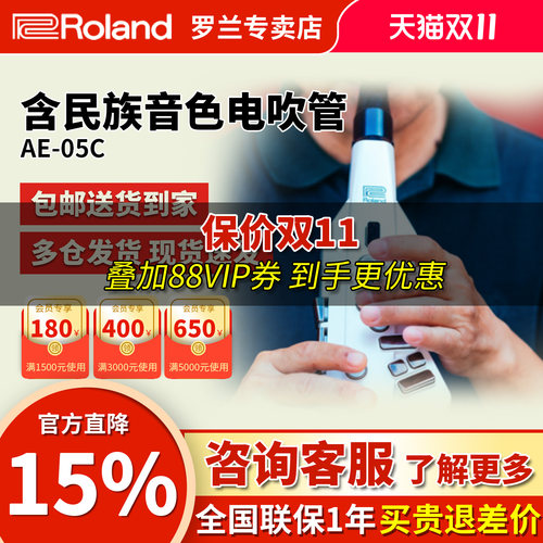 罗兰电吹管ae05c初学者