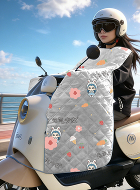 电动车挡风被夏季防雨防晒遮阳罩摩托车四季通用防风防水电瓶春秋