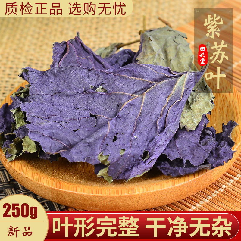 紫苏叶中药材新鲜食用叶子泡澡