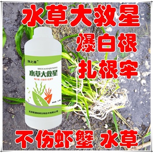生根灵水草大救星伊乐藻急救虾蟹塘高温保草救丹养护粉水草长根宝