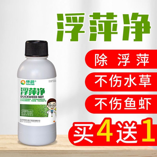 浮萍净水产养殖不伤鱼虾蟹水塘除浮萍克星剂杀除剂灭浮萍药分解酶