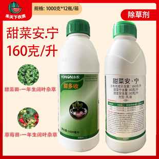 永农甜多收16%甜菜安宁甜菜田草莓田阔叶杂草除草剂农药