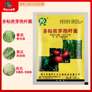 康蕾 康雷 多粘类芽孢杆菌番茄青枯病黄瓜角斑病西瓜枯萎病杀菌