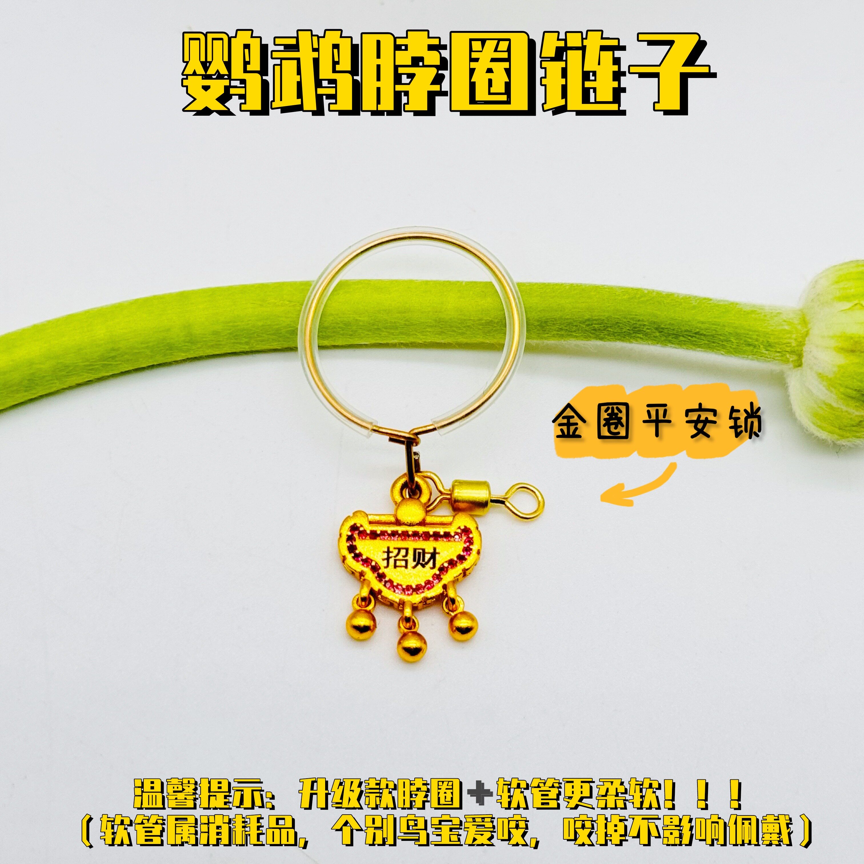 小太阳鹦鹉脖圈刻字定制脖套牡丹虎皮和尚防丢链子金太吸蜜脚环链
