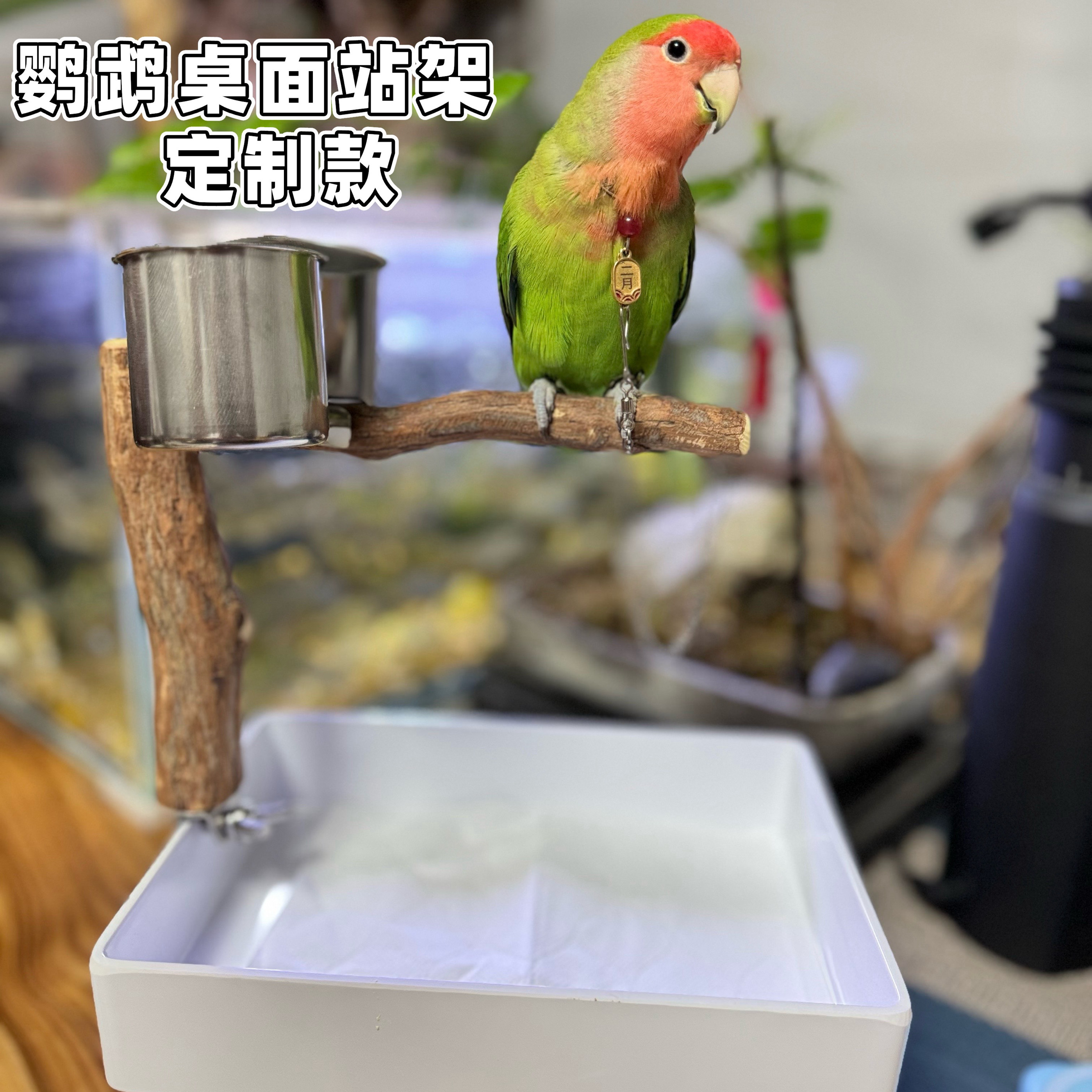 鹦鹉站架玄凤牡丹虎皮八哥鸟架子小太阳桌面便携手养训练架用品