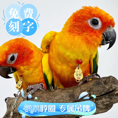 定制脖圈玄凤金太阳和尚小太阳