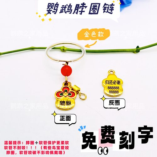 鹦鹉脖套不锈钢链子外出和尚金太牵引放飞绳牡丹玄凤脖圈小太阳用