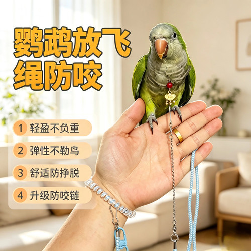 鹦鹉脖套定制刻字小太阳和尚牡丹虎皮玄凤吸蜜脖圈链子牵引绳链子