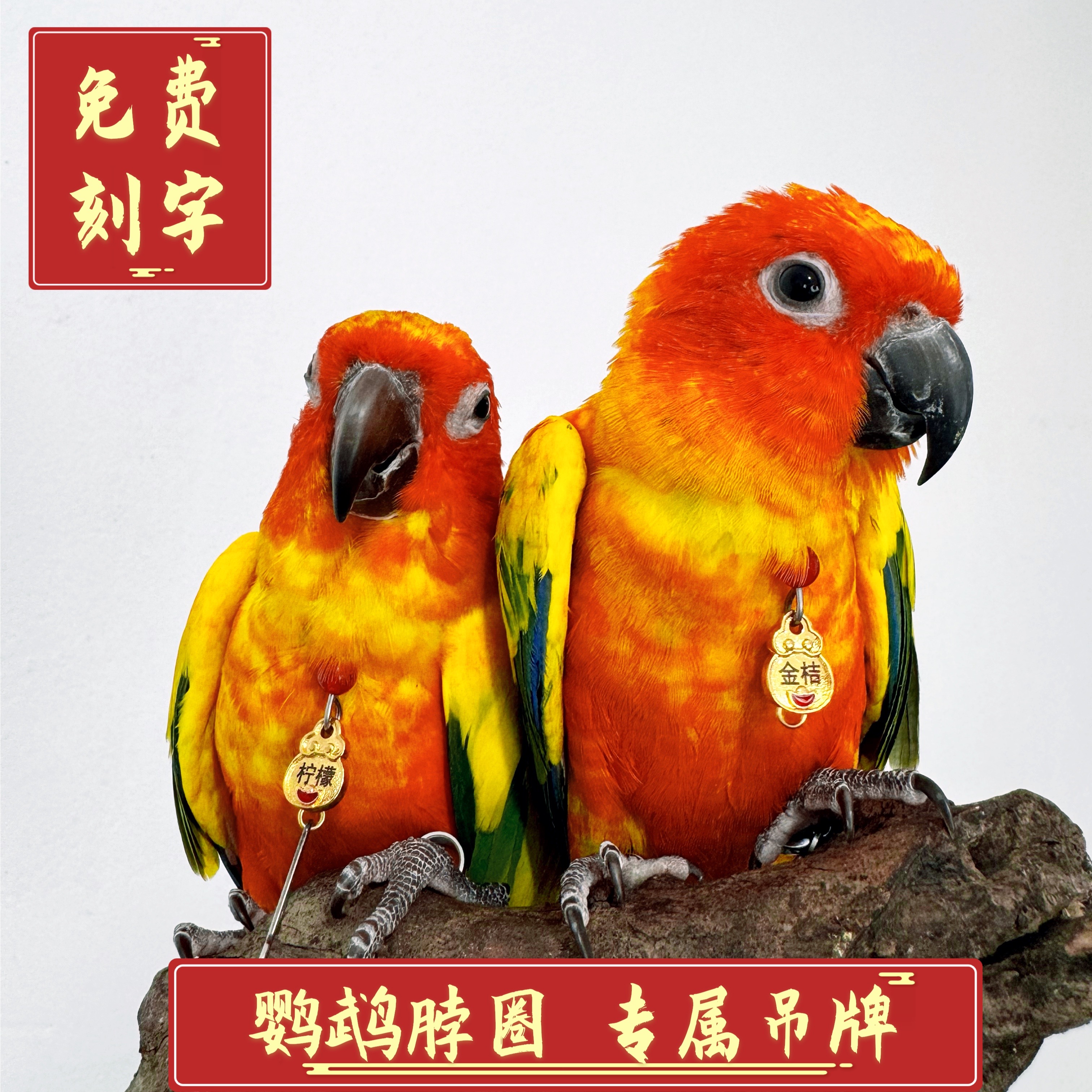 定制刻字脖圈玄凤金太阳和尚