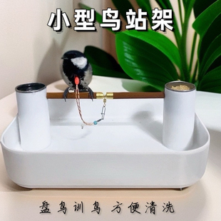 小型鸟站架绣眼贝子柳莺黄雀太阳鸟等小型鸟小鸟站架栓鸟架全套