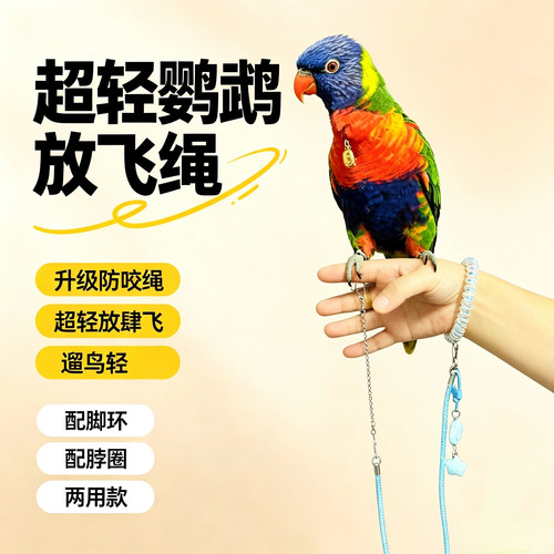 鹦鹉外出放飞绳虎皮牡丹玄凤小太阳脚环和尚链子刻字脖圈伸缩遛鸟