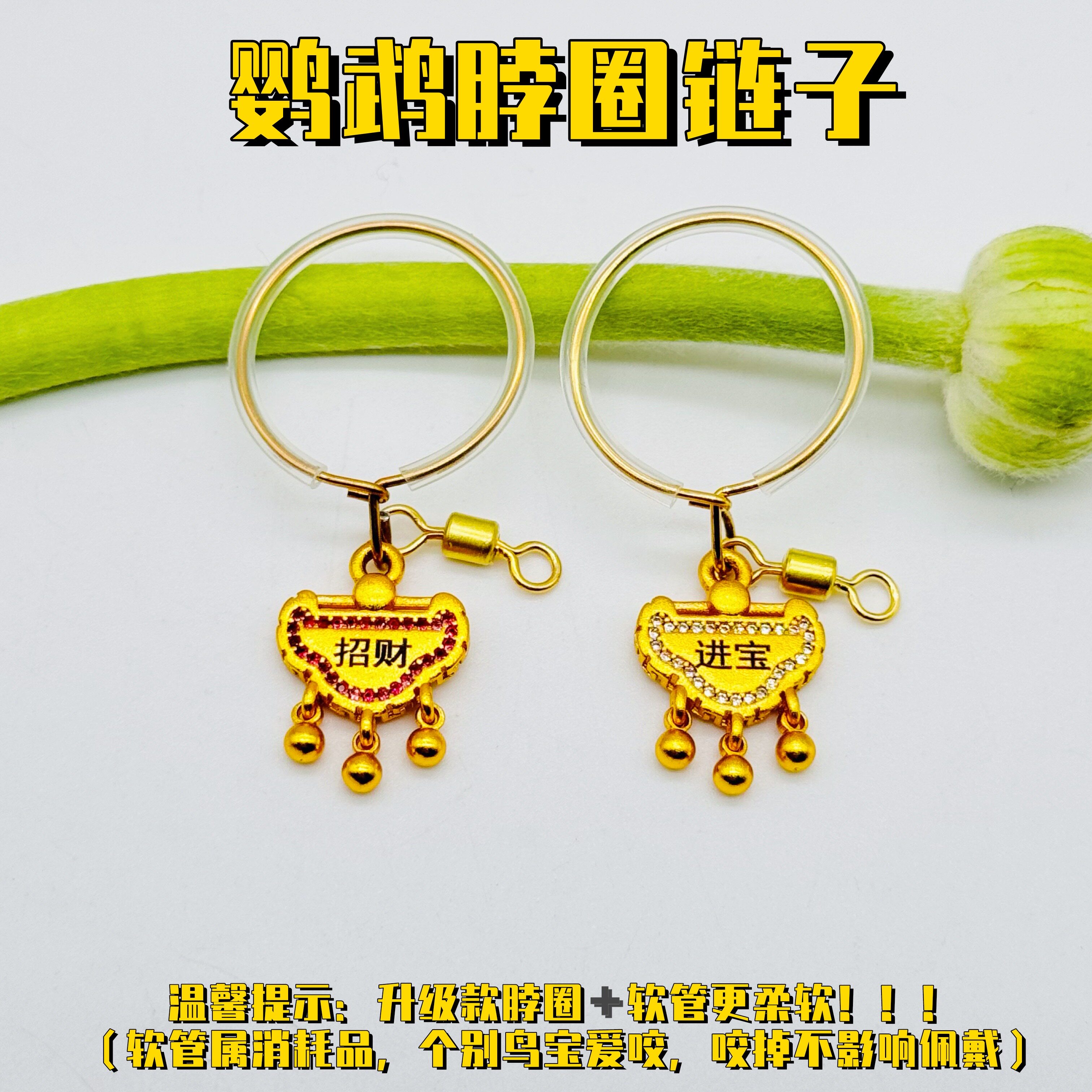 鹦鹉玄风虎皮牡丹小太蓝胖子
