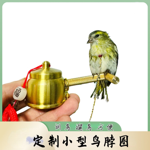 黄雀绣眼鸟脖套鹦鹉脖圈训鸟大山雀珍珠七彩文鸟栓链子燕雀玉鸟